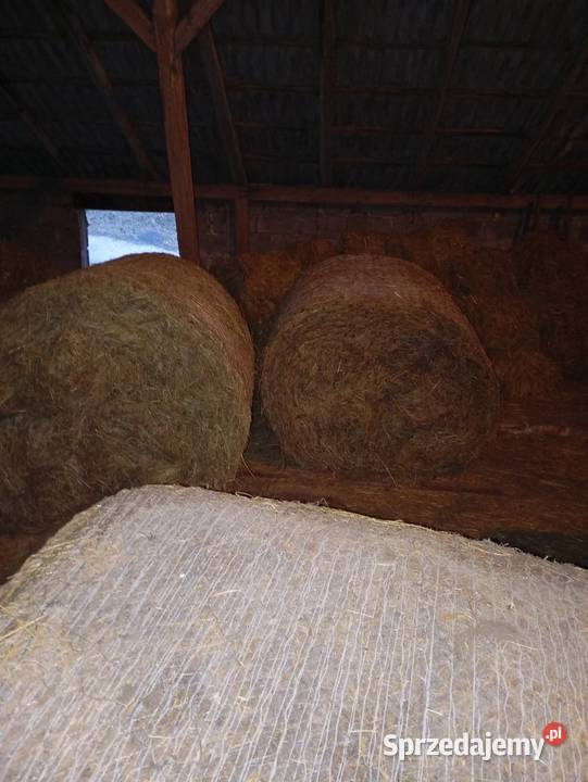 Sprzedam siano w belach i kostkach Skrzydłowo