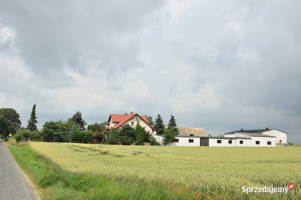 Sprzedam gospodarstwo rolne Sprzedaż Wymokłe