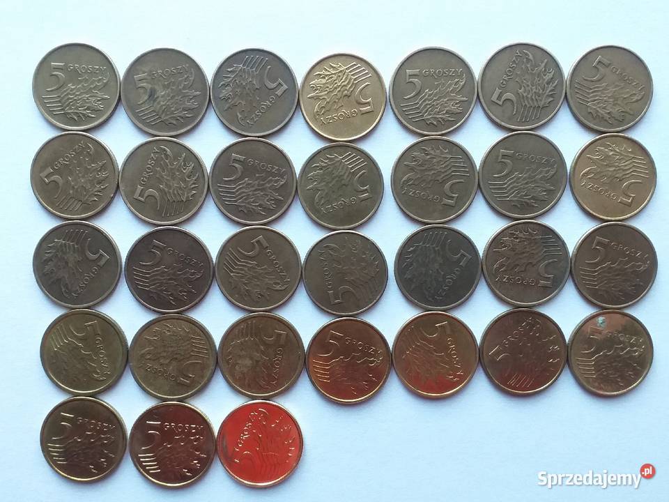Zestaw monet 5 gr groszy 1990 2023 obiegowe Numizmatyka Strzelce Opolskie