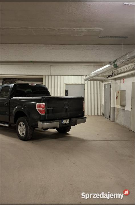 Ford f150 50 coyot 360KM