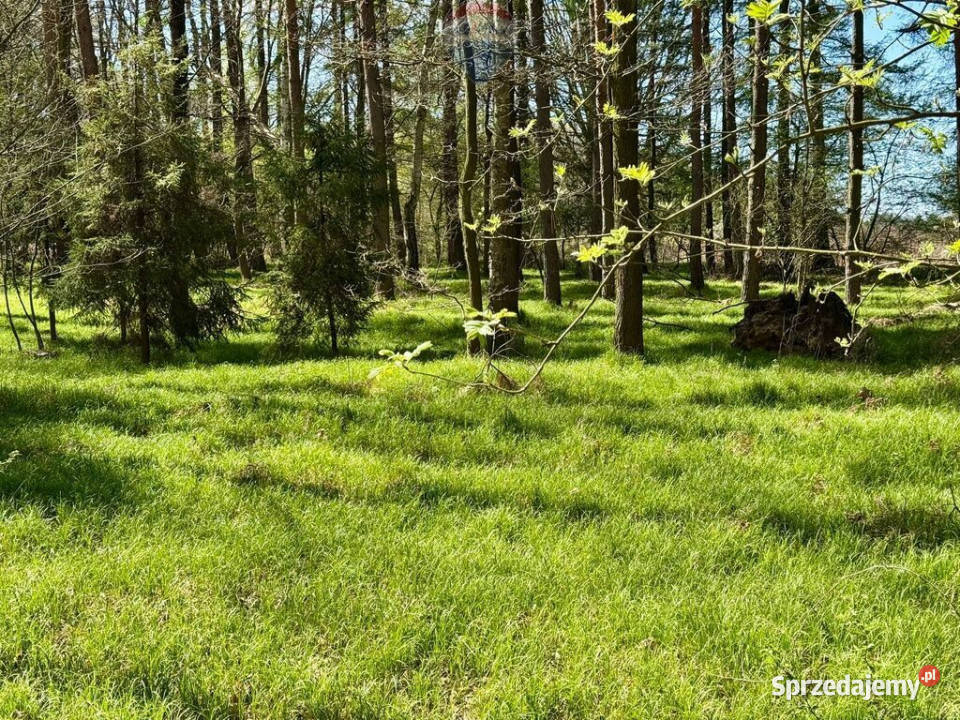 Działka leśna Jankowice 4110 m Świerklany