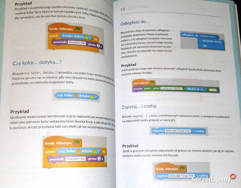 Młodzi giganci programowania Scratch Radosław Chełm