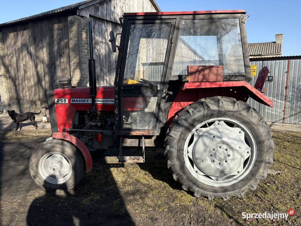 Traktor MF255 Massey Ferguson Cyców