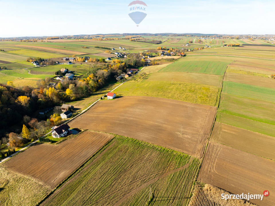 Piękna szeroka działka w okolicach Ojcowa 47m Stoki