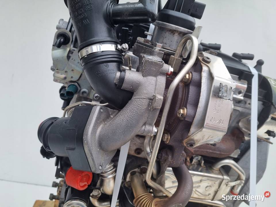 SILNIK KOMPLET Skoda Rapid 16 TDI 105 osobowe Rudka sprzedam