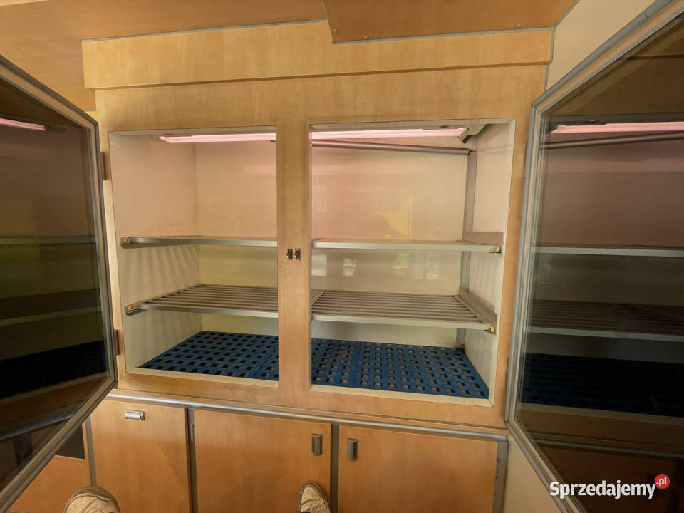 Fiat Ducato Autosklep wędlin Gastronomiczny Food elektryczne szyby Syców