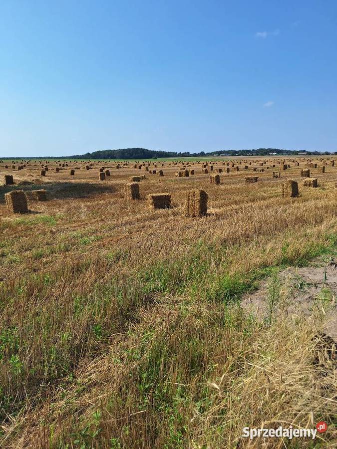 Słoma kostka 2026 Żyrzyn
