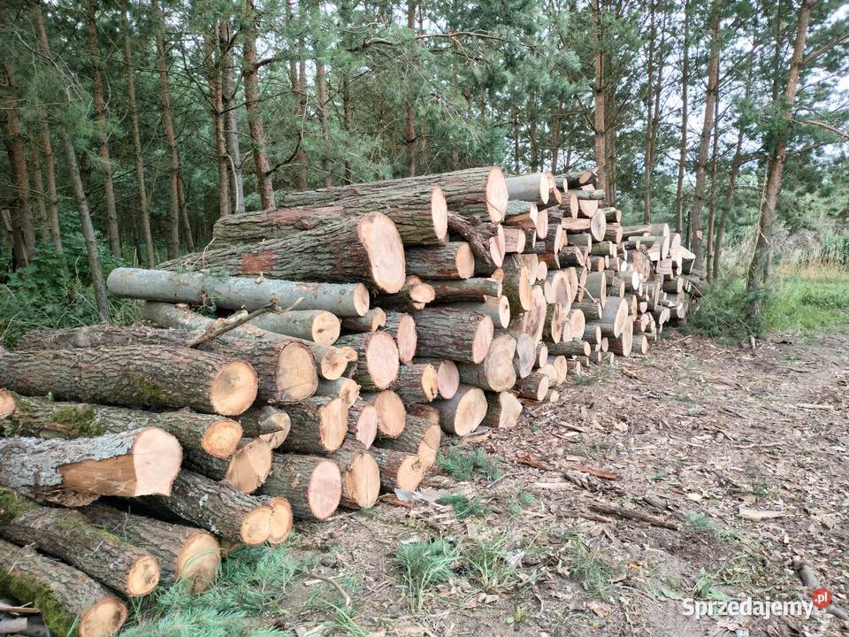Drewno kominkowe I opalowe Buk Dąb Drawsko Pomorskie