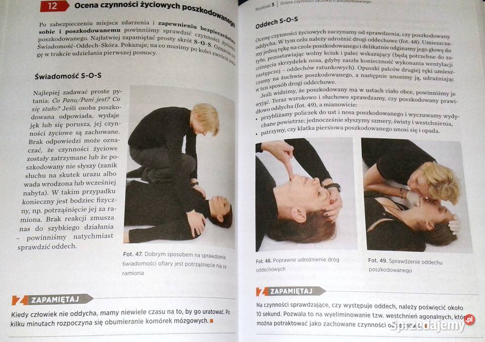 Bez paniki Podręcznik M Borowiecki Z Pytasz miękka Chełm