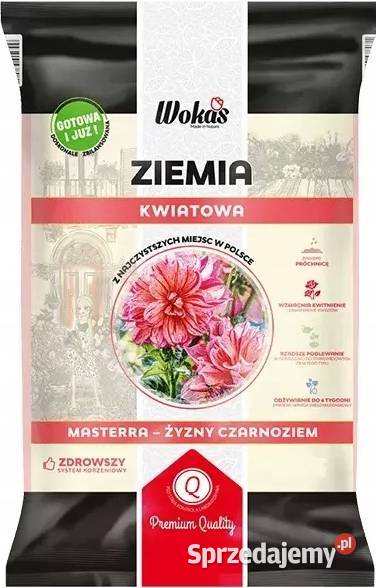 Ziemia Kwaitowa Masterra Żyzny czarnoziem lubuskie