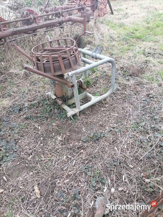 Zwijarka drutu z fasoli małopolskie Koszyce