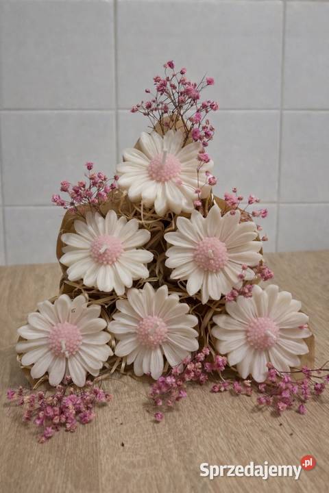 Podziękowania gości Opatów