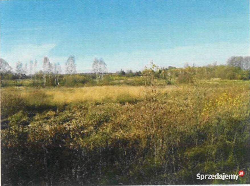 Nieruchomość gruntowa niezabudowana 37400 ha Sprzedaż Smagów sprzedam