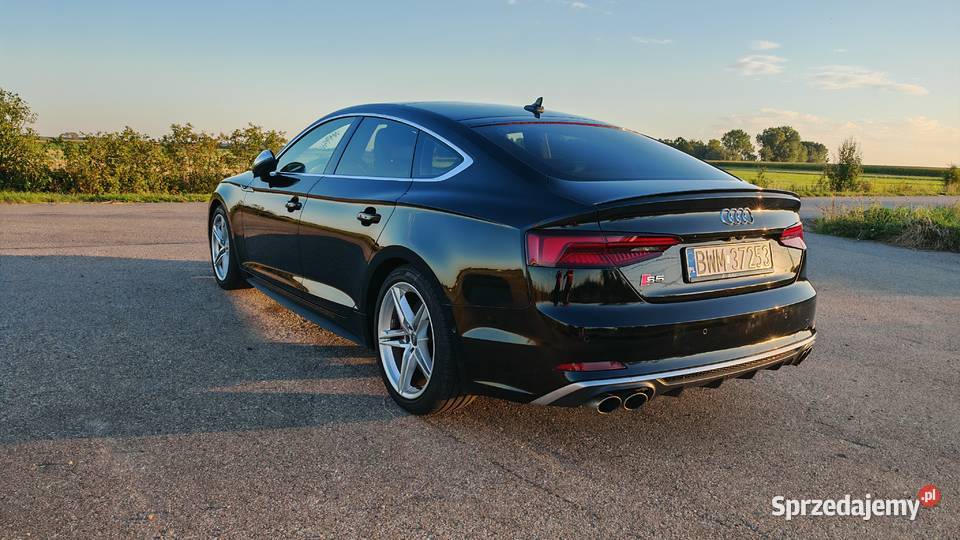 2019 Audi S5 Prestige podlaskie Czyżew