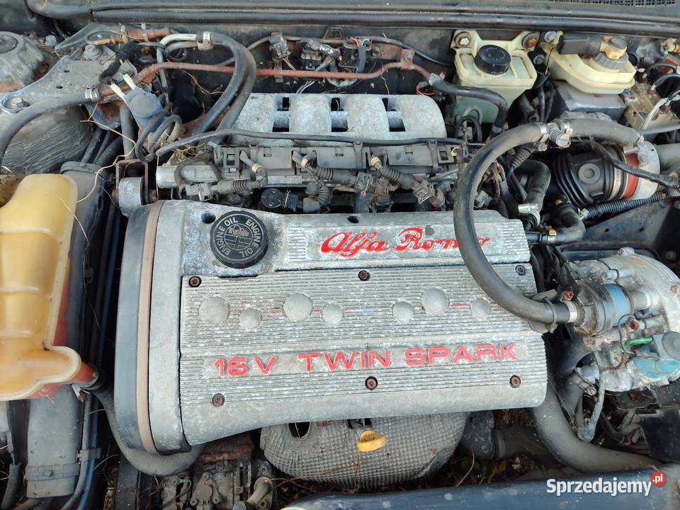 Alfa Romeo 155