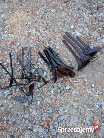 Sprzedam redliczki do opiełacza Włocławek