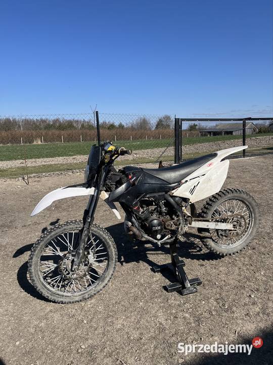 Beta rr5090 Trawniki