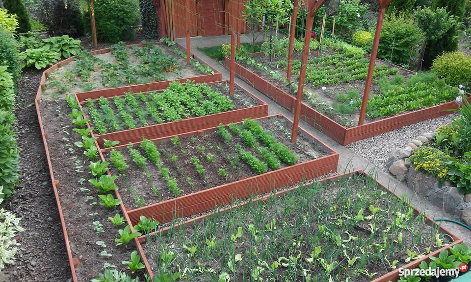 Działka na ROD Człuchów