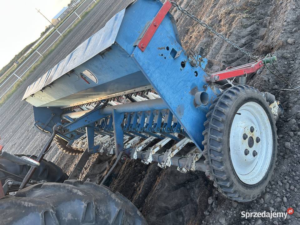 Siewnik poznaniak Łuków