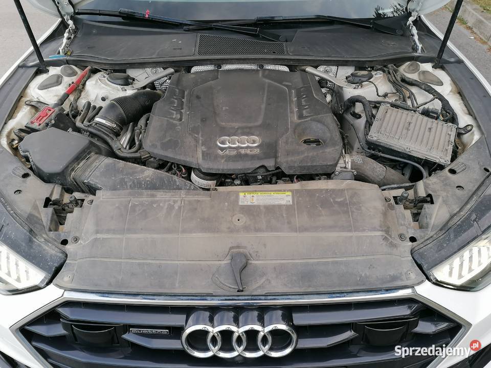 50 TDI Quattro 285 Sline PDC Alu 21 2kplkół Stan komputer pokładowy Ostrowiec Świętokrzyski
