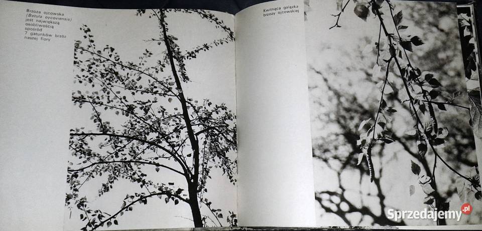 Rośliny chronione w Polsce Władysław Strojny Chełm