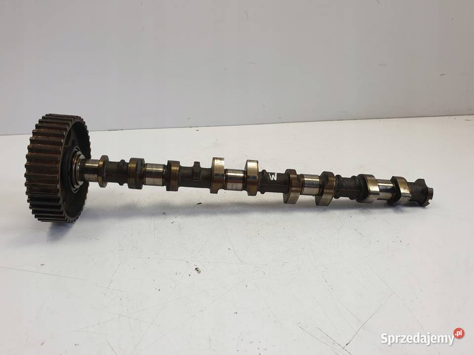 WAŁEK ROZRZĄDU Ford Focus MK1 I 18 16V wydechowy osobowe lubelskie Chełm