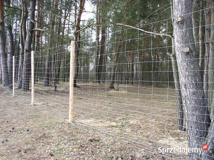 SIATKA ogrodzeniowa LEŚNA 1801360 L rolka 50 m śląskie Częstochowa