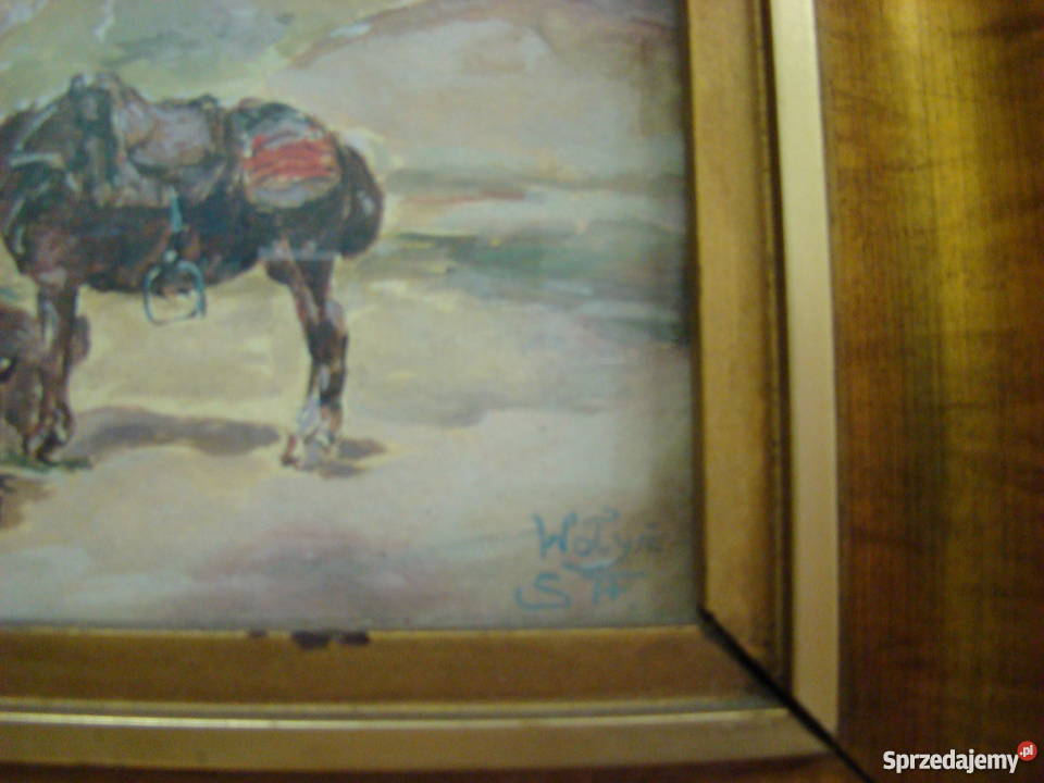 OBRAZ AKWARELA MALARZ ADAM SETKOWICZ Częstochowa