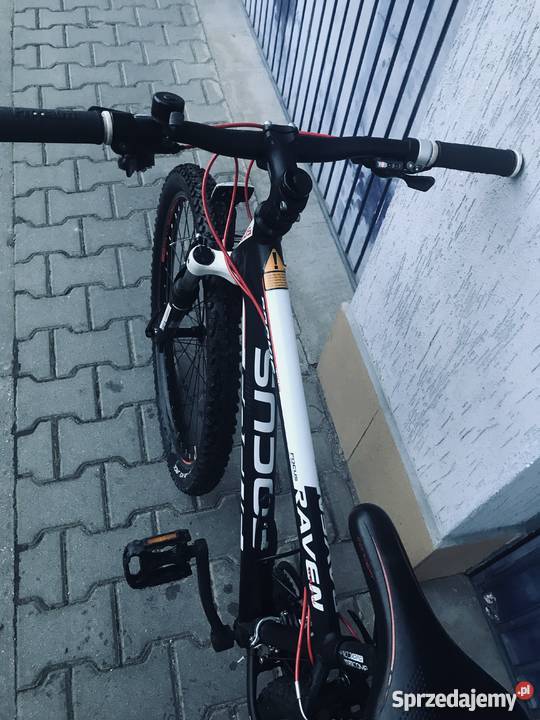 Rower górski FOCUS raven rookie dolnośląskie