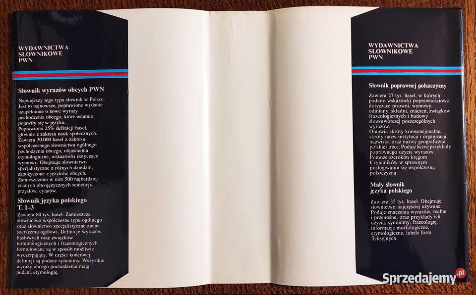 Idealny stan Mieczysław Szymczak Słownik