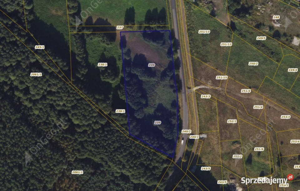 Działka 239 w miejscowości Wielka Nieszawka kujawsko-pomorskie sprzedam