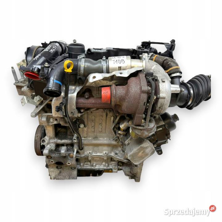SILNIK T1DB Ford Focus III C C 16 TDCI 115 osobowe Chełm sprzedam