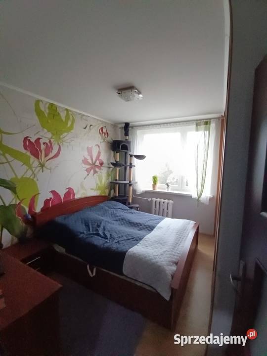 Mieszkanie w Jastrzębiu Zdroju 55m2 M4 Sprzedaż Jastrzębie-Zdrój