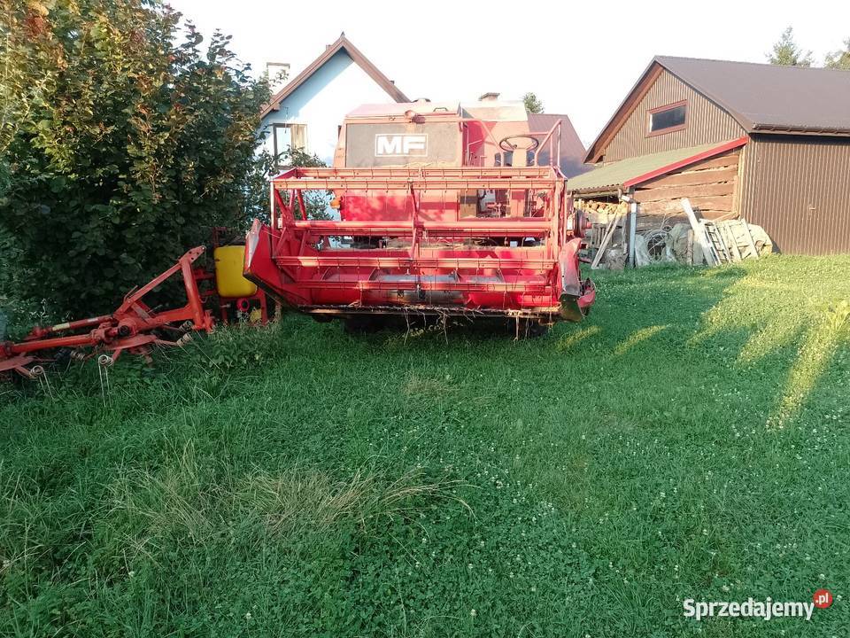 Części MF Massey Ferguson 240186187206 Jastrzębia sprzedam