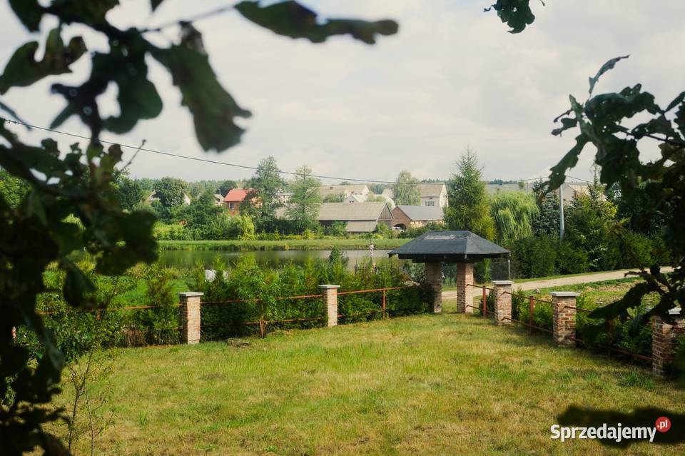 Urocze siedlisko z lasem i wzgórzem stawami