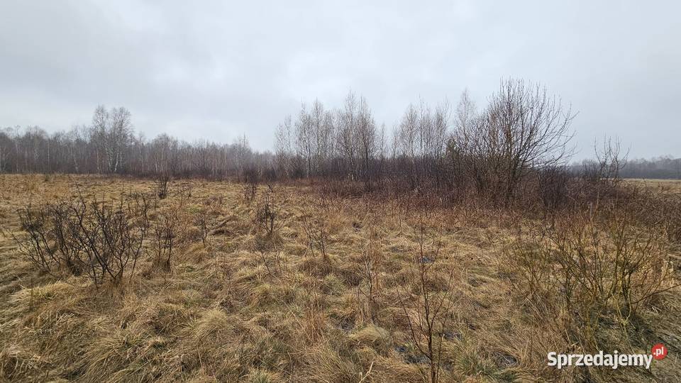 Działka Rolna Szczerców Podklucze 2769m2 sprzedam
