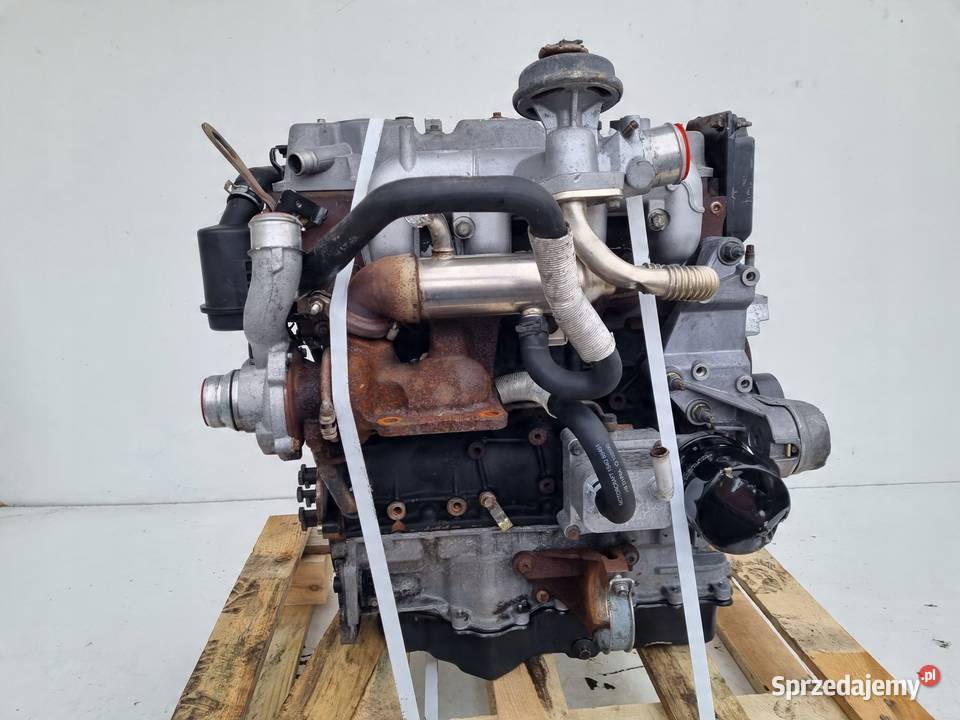 SILNIK KOMPLET Ford Transit Connect 18 TDCI 90 Janów
