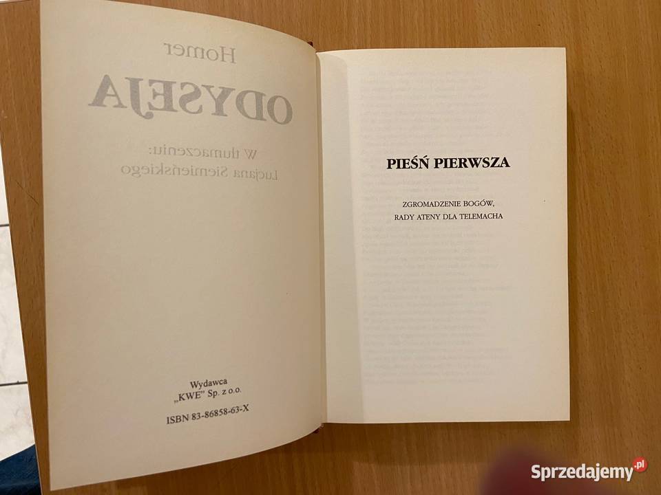 Homer Odyseja Katowice