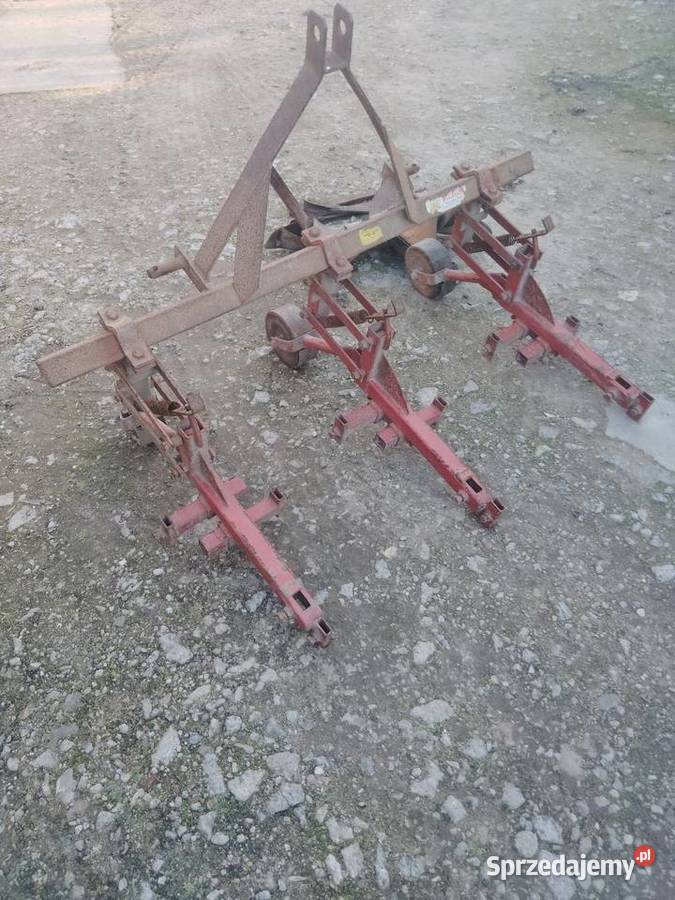 Sprzedam redełka Tuszyn