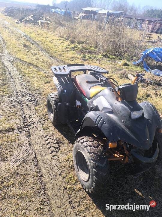 Quad Aeon Cobra 180 zachodniopomorskie Tychowo