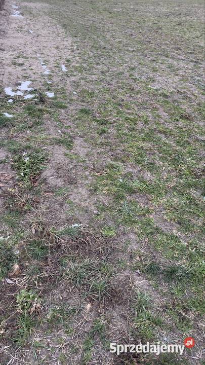 Działki budowlane Wschowa