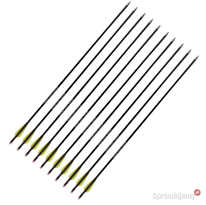 Strzały do łuku wykręcane groty strzała 10 sztuk