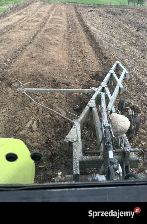 Pług zagonowy 5 skibowy włóka Łężeczki sprzedam