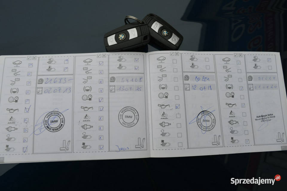 BMW X1 SDRIVE 20d Automat Serwisowany w ASO Navi Hrubieszów