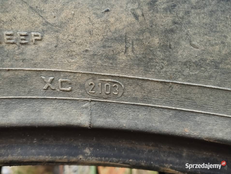 Opony Pirelli TM 700 52070R38 Dankowice Trzecie