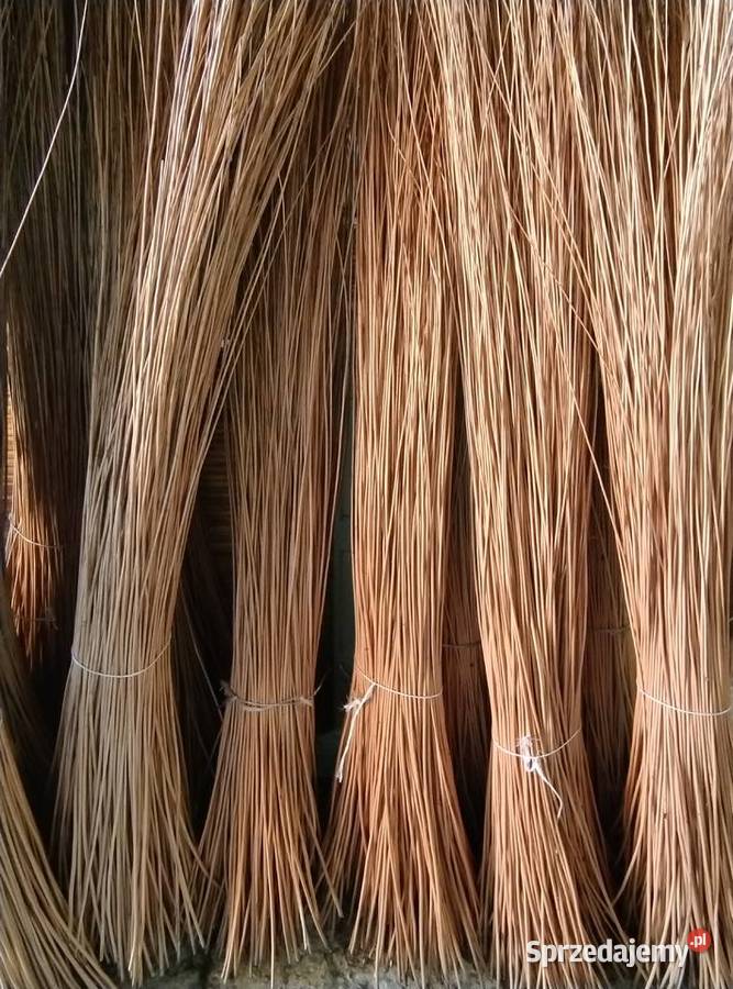Wiklina korowana wszystkie długości Darmowy podkarpackie Sokołów Małopolski sprzedam