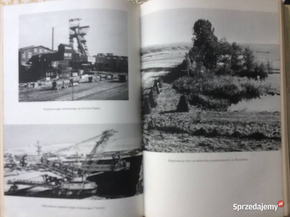 3762 Ziemia Antykwariat zachodniopomorskie Szczecin