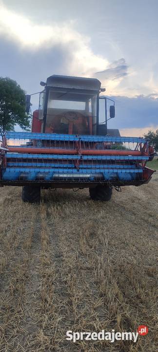 Kombajn zbożowy bizon Zbuczyn