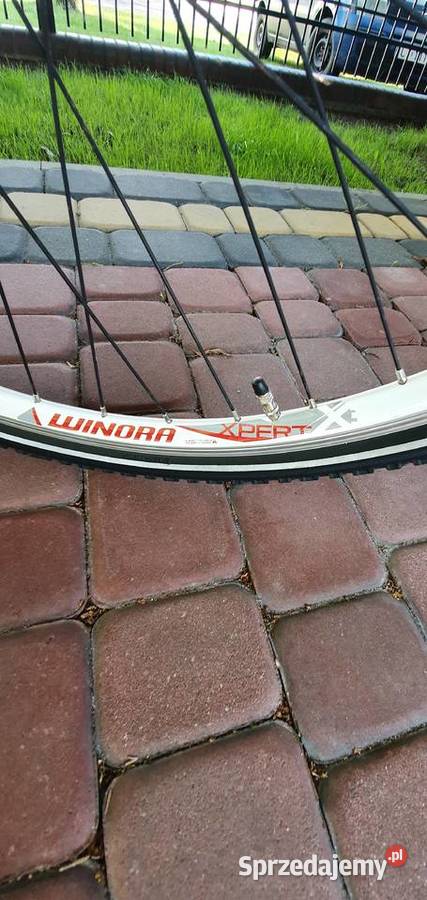 Rower Damski Winora w Kwiatki PIĘKNY Toruń