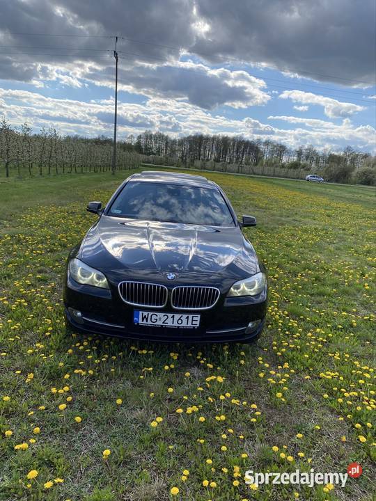 BMW 520d f10 Seria 5 Samochody osobowe Wilga